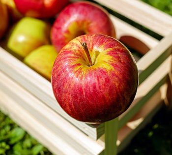 Nostokuva julkaisusta Modulation of the food microbiome by apple fruit processing
